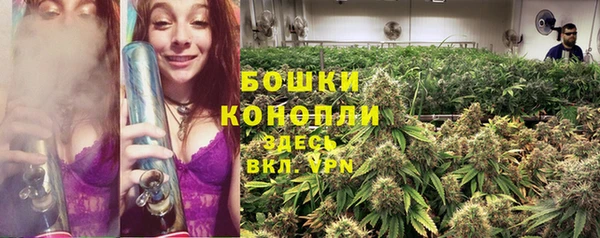 ПСИЛОЦИБИНОВЫЕ ГРИБЫ Волоколамск