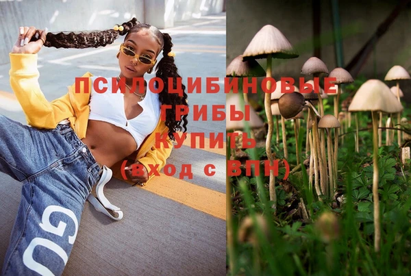 дмт Володарск